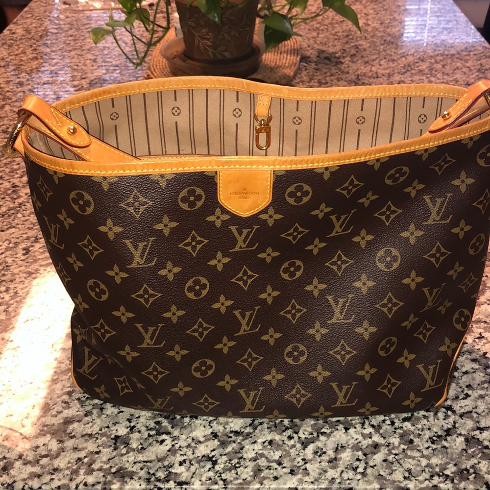 Louis Vuitton Purse